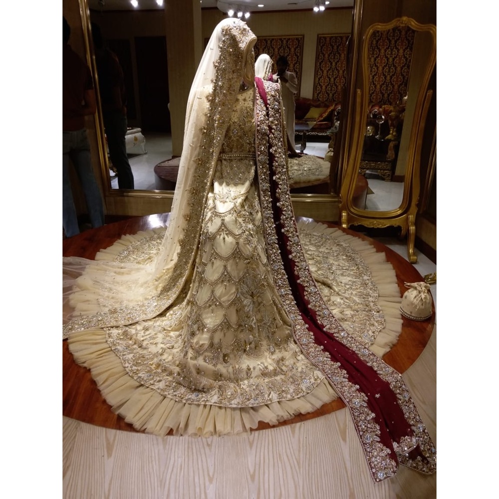 COPY 3 - Indian/Pakistani Wedding Dress
